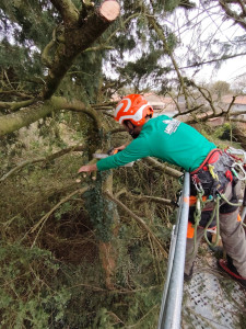 Photo de galerie - Démontage en nacelle .