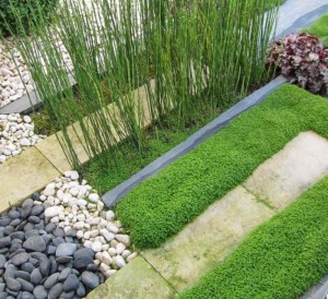 Photo de galerie - Jardinier