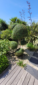 Photo de galerie - Taille structuré 