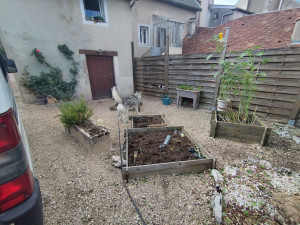 Photo de galerie - Après l'intervention. désherbage nettoyage des jardinières 