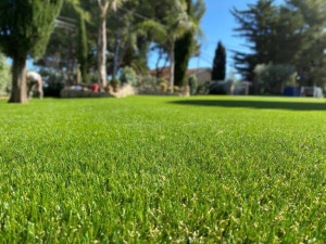 Photo de galerie - Entretien & Tonte