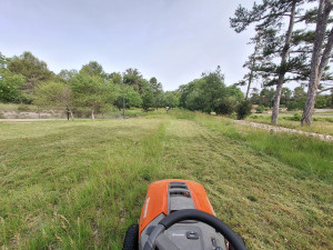 Photo de galerie - Tonte de pelouse - Débroussaillage