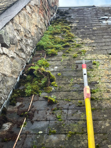 Photo de galerie - .