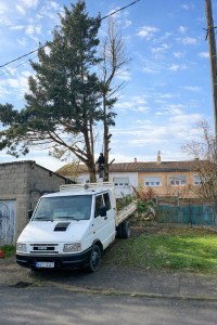 Photo de galerie - Abattage 