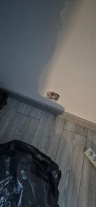 Photo de galerie - Pose de parquet avec isolation, finition... Également électricité 