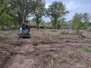 Photo de galerie - Travaux forestiers 