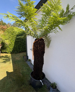 Photo de galerie - Paysagiste - Aménagement du jardin