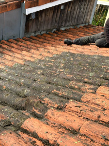 Photo de galerie - Couverture - Toiture