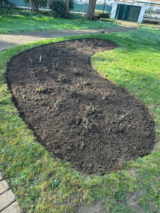 Photo de galerie - Rosiers 