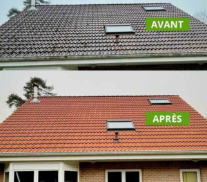 Photo de galerie - Avant et après avec produit d’Alep, 2100