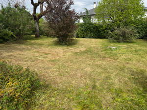 Photo de galerie - Tonte 