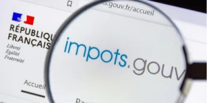 Photo de galerie - Déclaration IRPP (Impôt sur le revenu des personnes physiques)