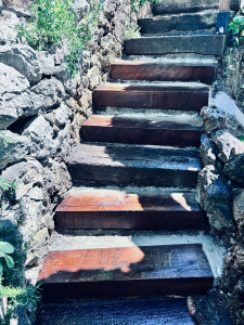 Photo de galerie - Remplacement de marche d’escalier 