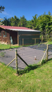 Photo de galerie - Paysagiste - Aménagement du jardin