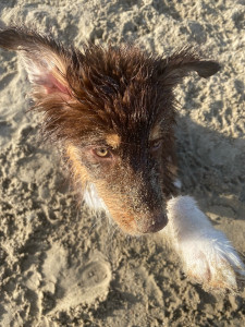 Photo de galerie - Ptite plage ?