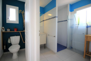 Photo de galerie - Remise en état d'une salle de bain : Création espace douche italienne / mobilier / peinture
Création espace WC : remplacement / Création des éléments décoratifs / Peinture