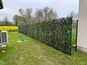 Photo de galerie - Clôture végétal liere 
