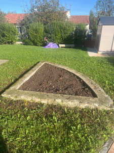 Photo de galerie - Désherbage d’un bac encombré de mauvaise herbe pour la qu’il soit prêt pour planter un Olivier au printemps.