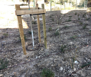 Photo de galerie - Paysagiste - Aménagement du jardin