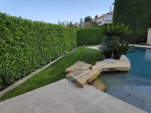 Photo de galerie - Entretien des espaces verts autour d’une piscine : haie taillée et bordure de gazon entretenue. Réalisation Nice Garden.