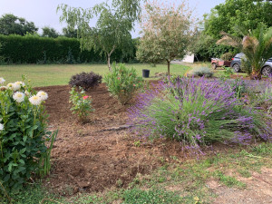 Photo de galerie - Nettoyage de parterre après