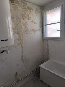 Photo de galerie - Lavage de murs et moisissures ( après )