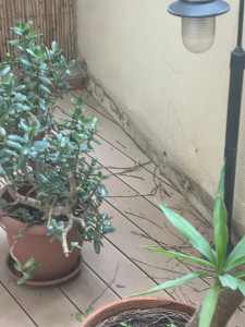 Photo de galerie - Avant prestation 