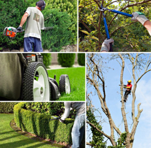 Photo de galerie - Entretien, parc et jardin