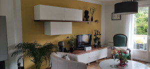 Photo de galerie - Aménagement intérieur, montage de mob
ilier avec optimisation de meuble TV 