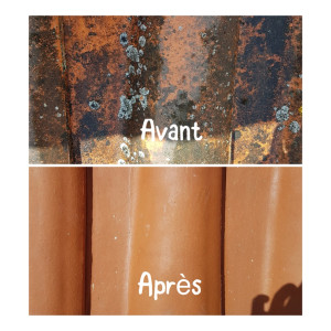 Photo de galerie - Nettoyage toiture avant après décontamination des micro-organismes