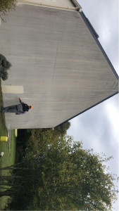Photo de galerie - Avant le traitement 
