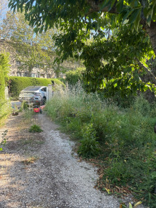 Photo de galerie - Tonte de pelouse - Débroussaillage