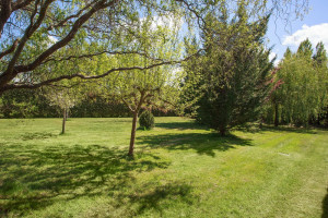 Photo de galerie - Tonte de 2500m2
