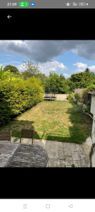 Photo de galerie - Taille de haies et d'arbustes