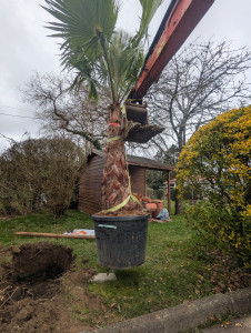 Photo de galerie - Paysagiste - Aménagement du jardin