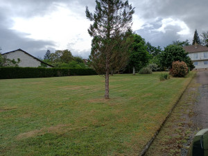 Photo de galerie - La pelouse avait pas été tendu depuis un an