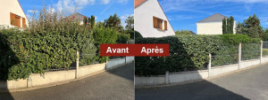 Photo de galerie - Taille de haie avant après ,