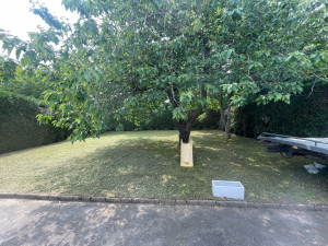 Photo de galerie - 1 ère tonte de l’année 