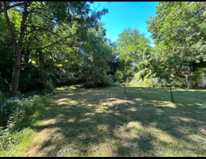 Photo de galerie - C’est beaucoup plus joli comme ça 