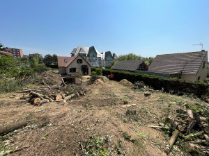 Photo de galerie - Très gros chantier effectué à Cabourg boulevard des diablotins abattage de 50 arbres plus broyage des branche.