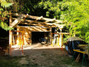 Photo de galerie - Charpente hangar