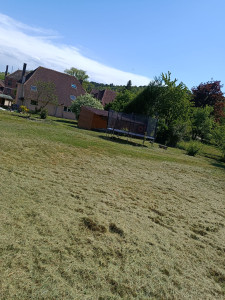 Photo de galerie - Tonte de pelouse - Débroussaillage