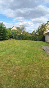 Photo de galerie - Tonte de pelouse 