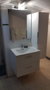 Photo de galerie - Création d une salle de bain  dans un grenier (WC, douche, meuble vasque, miroir et meuble colonne)