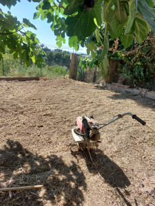 Photo de galerie - Paysagiste - Aménagement du jardin