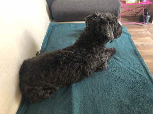 Photo de galerie - J’ai 15 ans et je suis en pleine forme ?