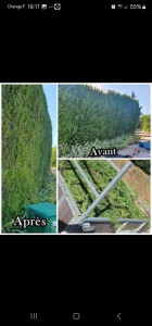 Photo de galerie - Taille est enlèvements 