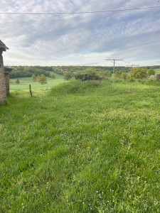 Photo de galerie - Rafraîchissement de terrain