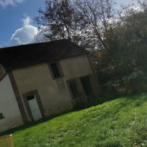 Photo de galerie - Tonte et entretien terrain 