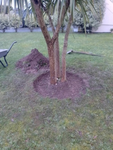 Photo de galerie - Paysagiste - Aménagement du jardin